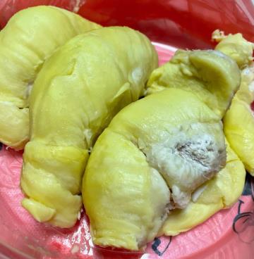 榴蓮核怎么種水培